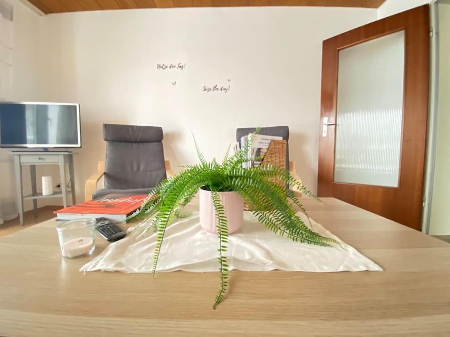 Cozy Home In South-Germany Klettgau Εξωτερικό φωτογραφία